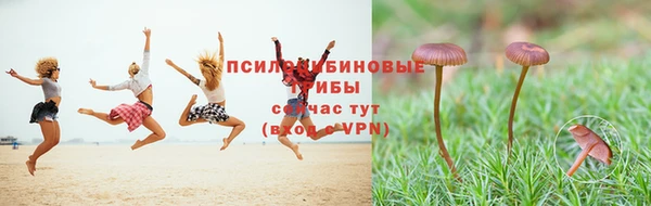 мескалин Абаза