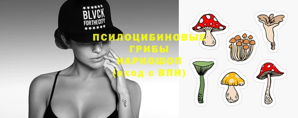 винт Абинск