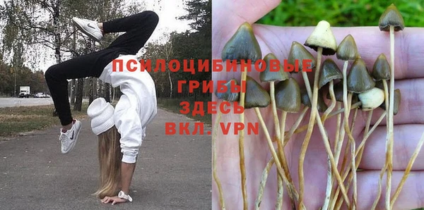 винт Абинск