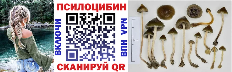 Псилоцибиновые грибы прущие грибы  ссылка на мегу ONION  Тюкалинск  наркота 